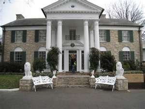 tinyzone graceland|Search results for 'graceland' .